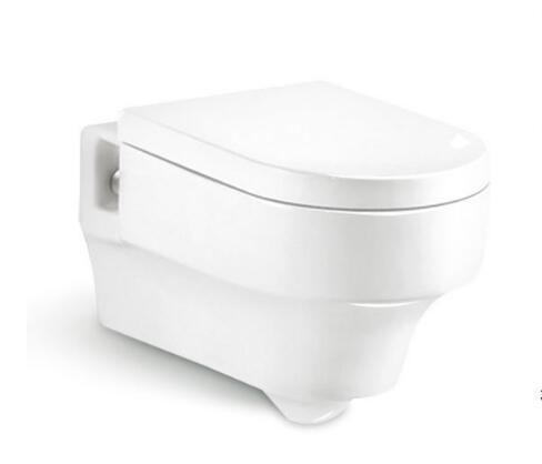 Wall Hung Toilet T8214